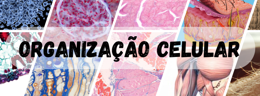 História Narrativa